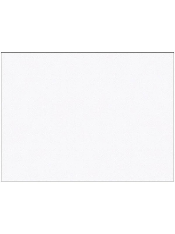 Конверт E65, Ряжская печатная фабрика, 110*220мм, б/подсказа, б/окна, кл. край