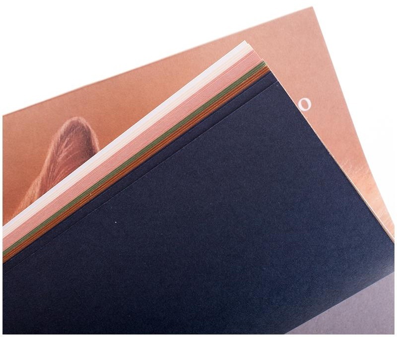 Планшет для пастелей, 15л., А3 Лилия Холдинг 