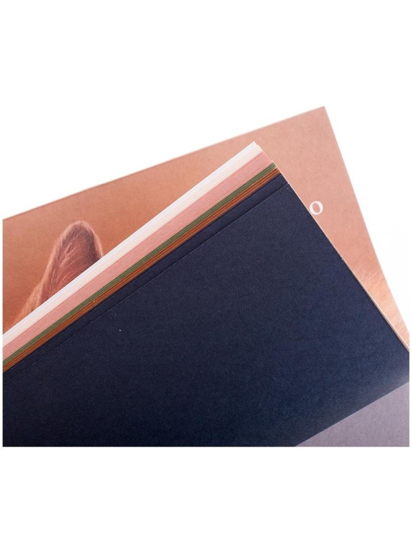 Планшет для пастелей, 15л., А3 Лилия Холдинг 