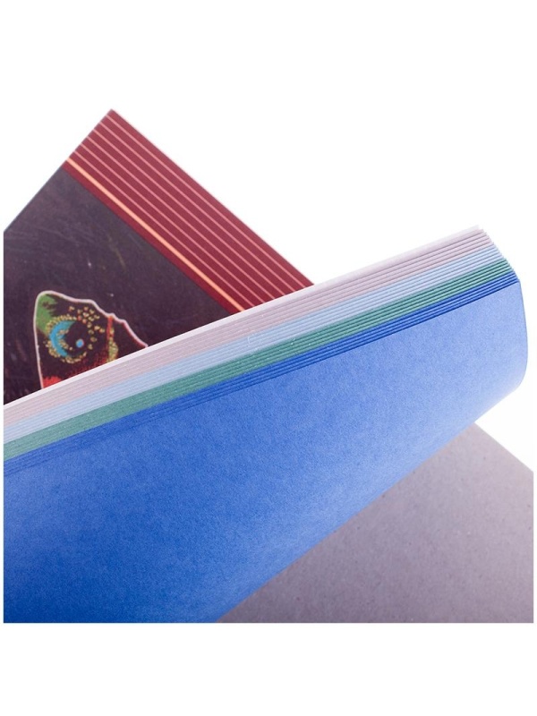 Планшет для пастелей, 20л., А3 Лилия Холдинг 