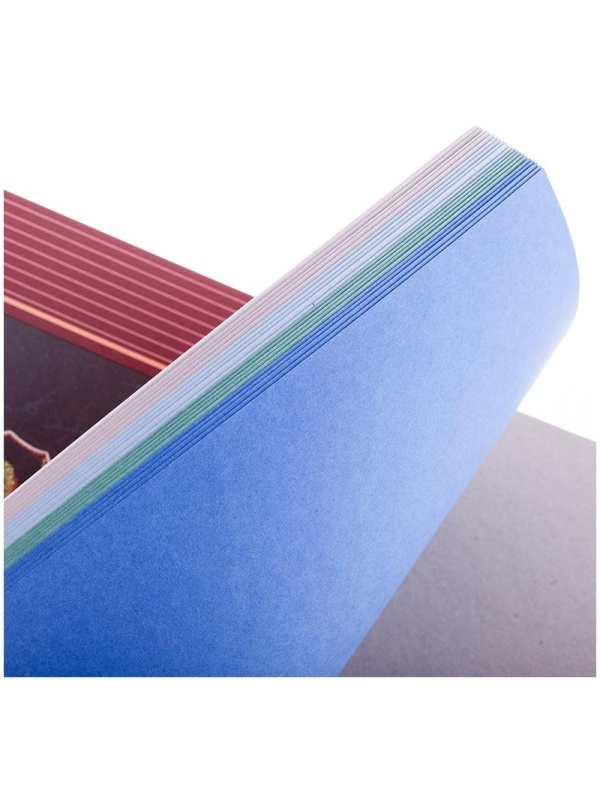 Планшет для пастелей, 20л., А2 Лилия Холдинг 