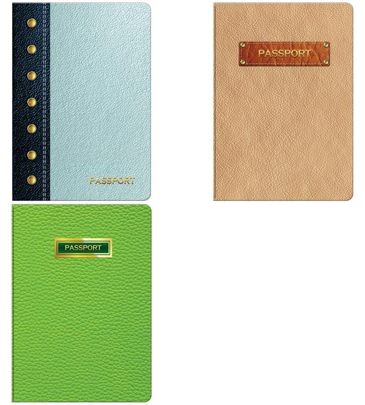 Обложка для паспорта OfficeSpace фотопечать, ПВХ, 