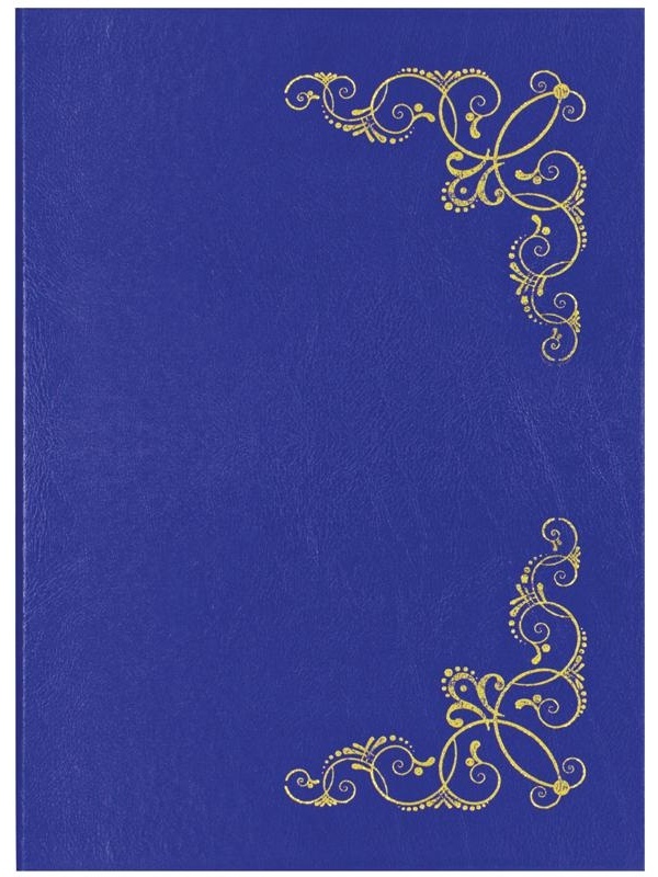 Папка адресная 