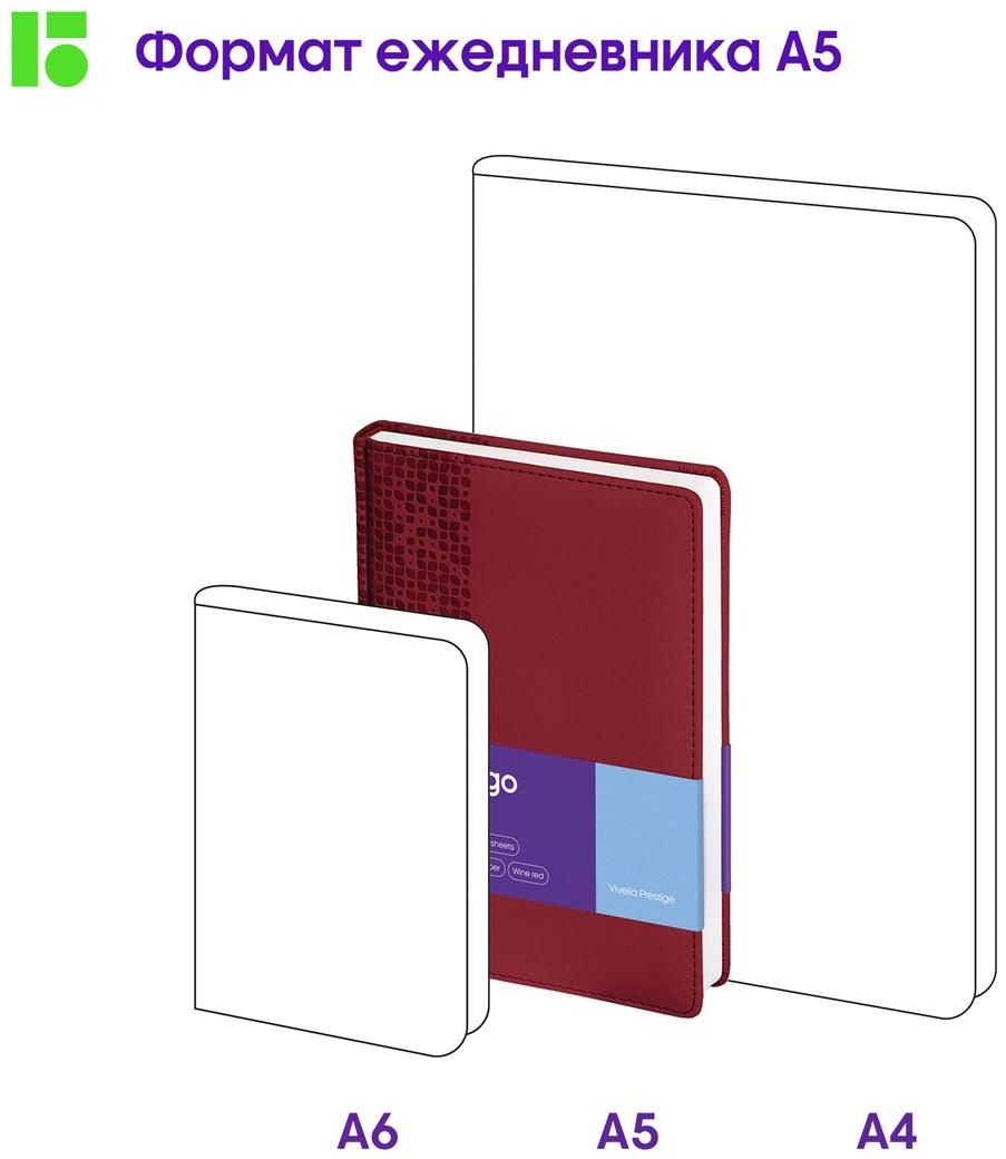 Ежедневник недатированный, А5, 160л., кожзам, Berlingo 