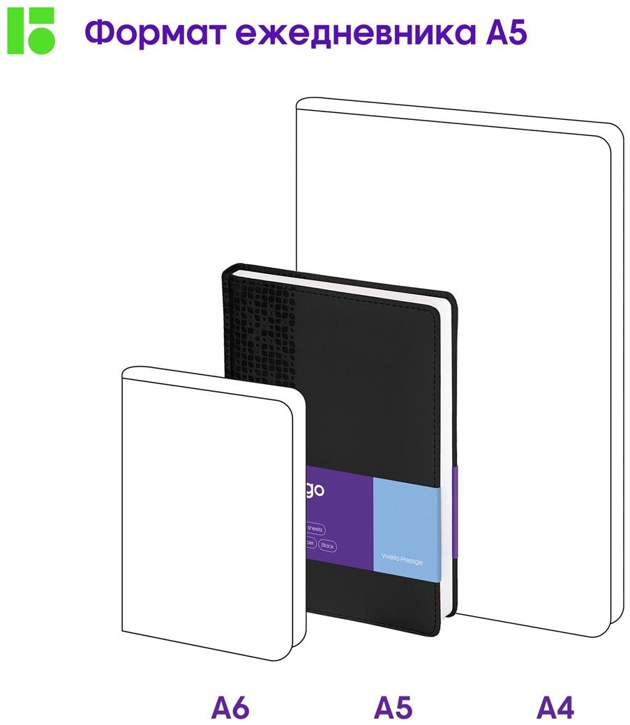 Ежедневник недатированный, А5, 160л., кожзам, Berlingo 