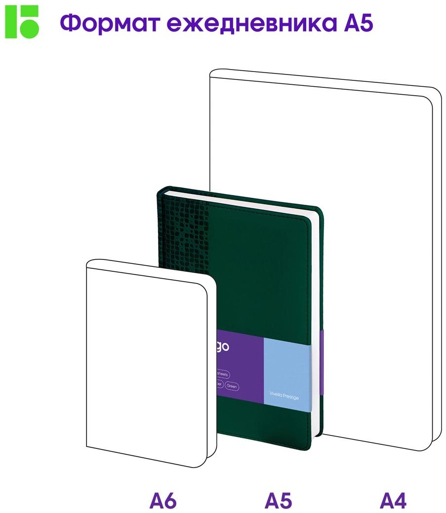 Ежедневник недатированный, А5, 160л., кожзам, Berlingo 