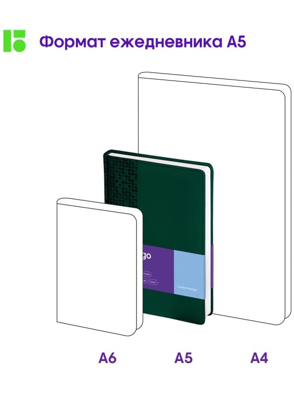 Ежедневник недатированный, А5, 160л., кожзам, Berlingo 