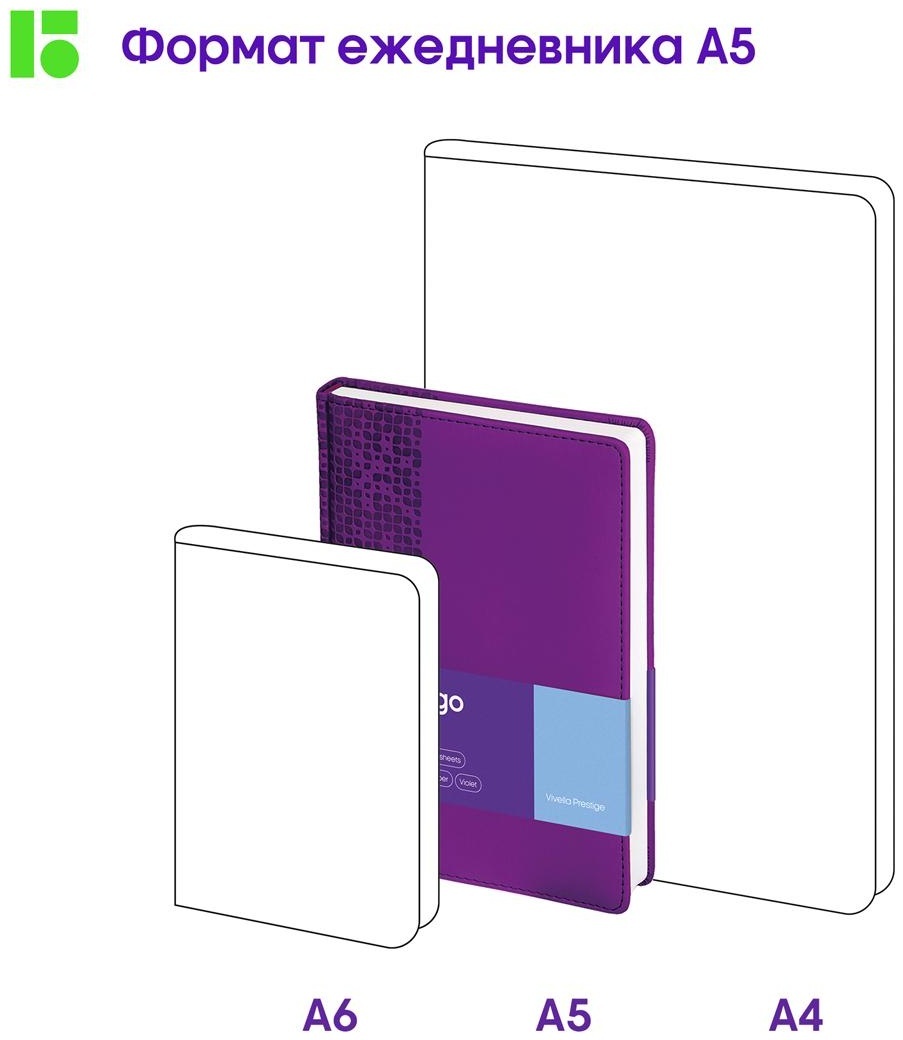 Ежедневник недатированный, А5, 160л., кожзам, Berlingo 