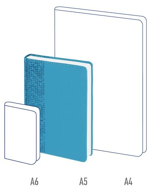 Ежедневник недатированный, А5, 160л., кожзам, Berlingo 