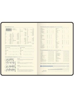 Ежедневник недатированный, А5, 160л., кожзам, Berlingo 