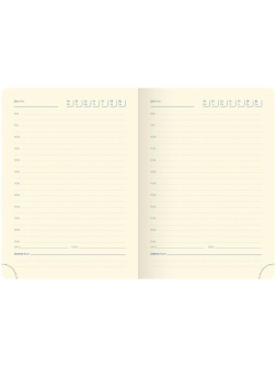 Ежедневник недатированный, А6, 160л., кожзам, Berlingo 