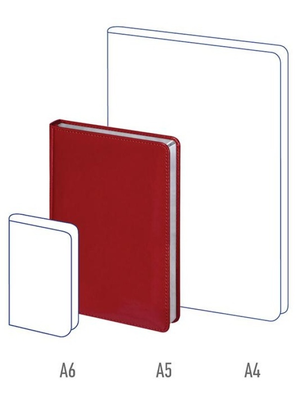 Ежедневник недатированный, А5, 160л., кожзам, Berlingo 