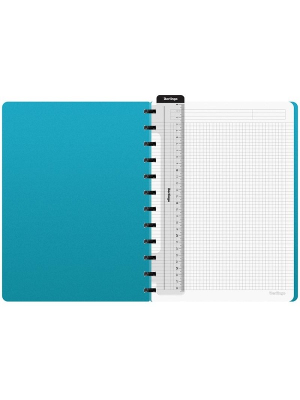 Бизнес-тетрадь А4+, 80л., Berlingo 