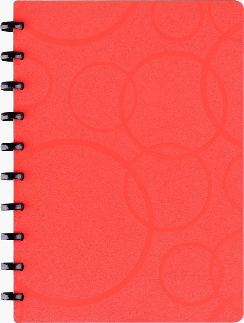 Бизнес-тетрадь В5+, 80л., Berlingo 