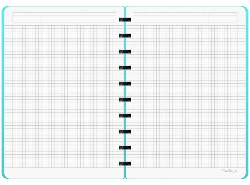 Бизнес-тетрадь В5+, 80л., Berlingo 