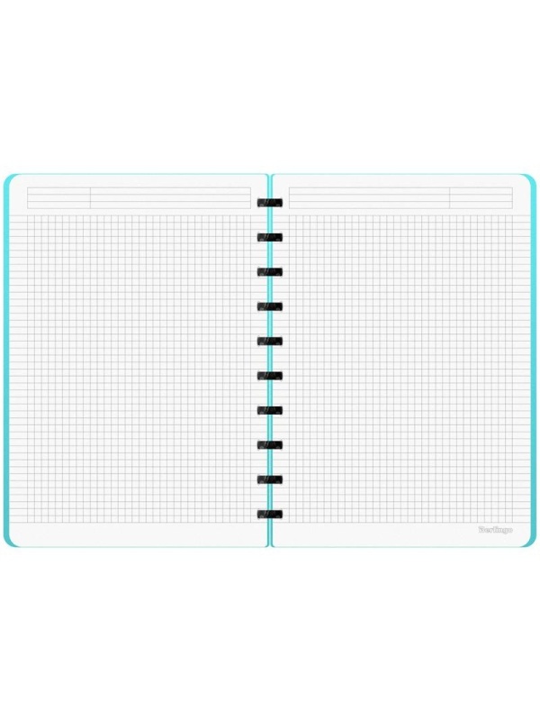 Бизнес-тетрадь В5+, 80л., Berlingo 