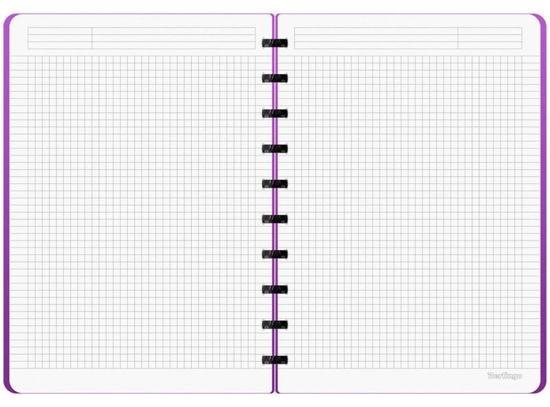 Бизнес-тетрадь В5+, 80л., Berlingo 