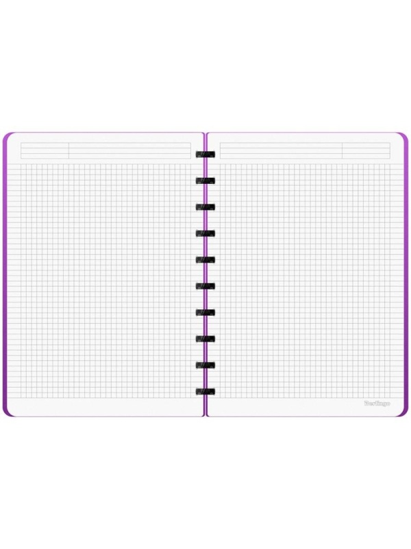 Бизнес-тетрадь В5+, 80л., Berlingo 