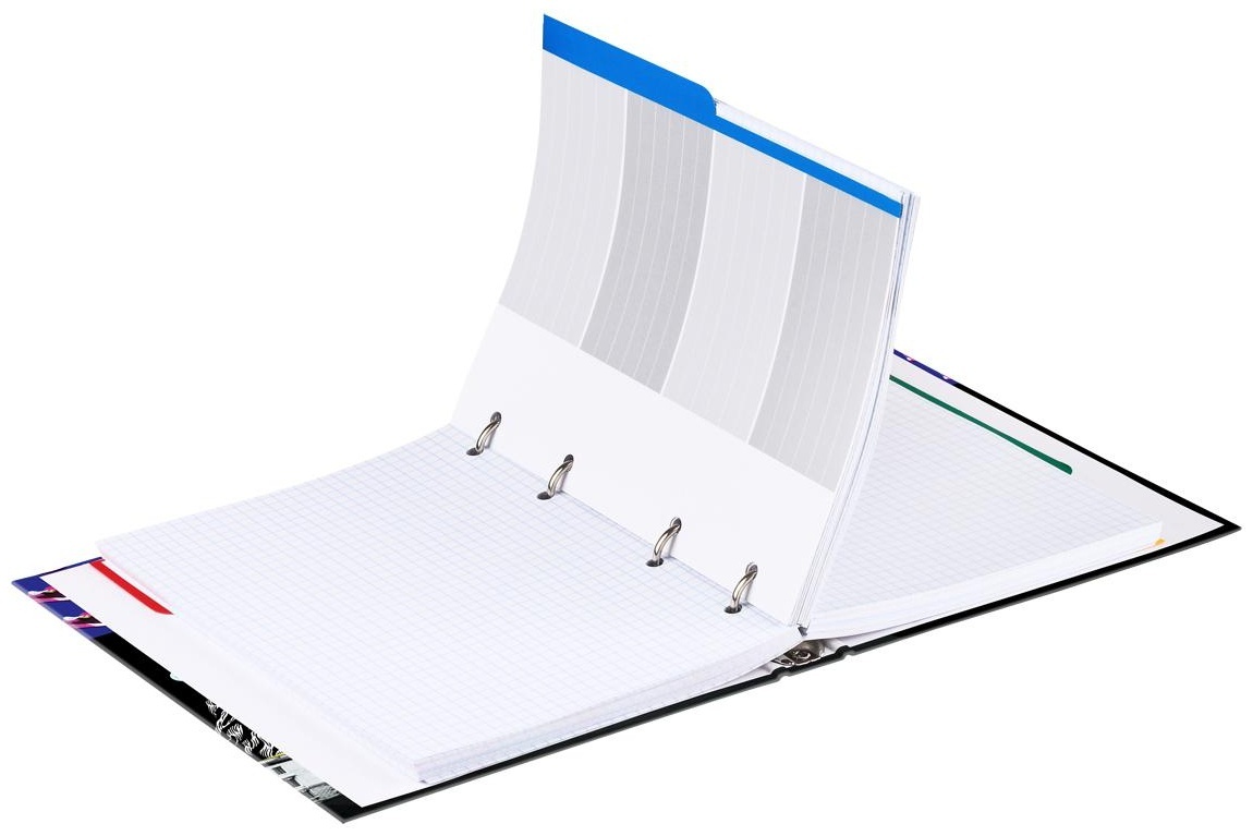 Тетрадь на кольцах А5, 240л., BG 