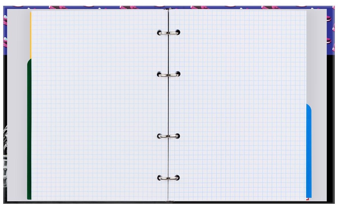 Тетрадь на кольцах А5, 240л., BG 