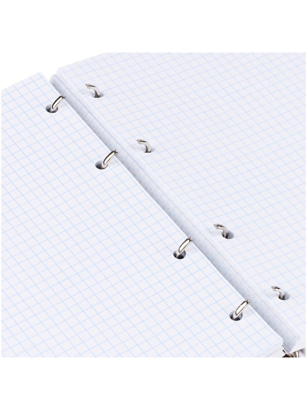 Тетрадь на кольцах А5, 240л., BG 