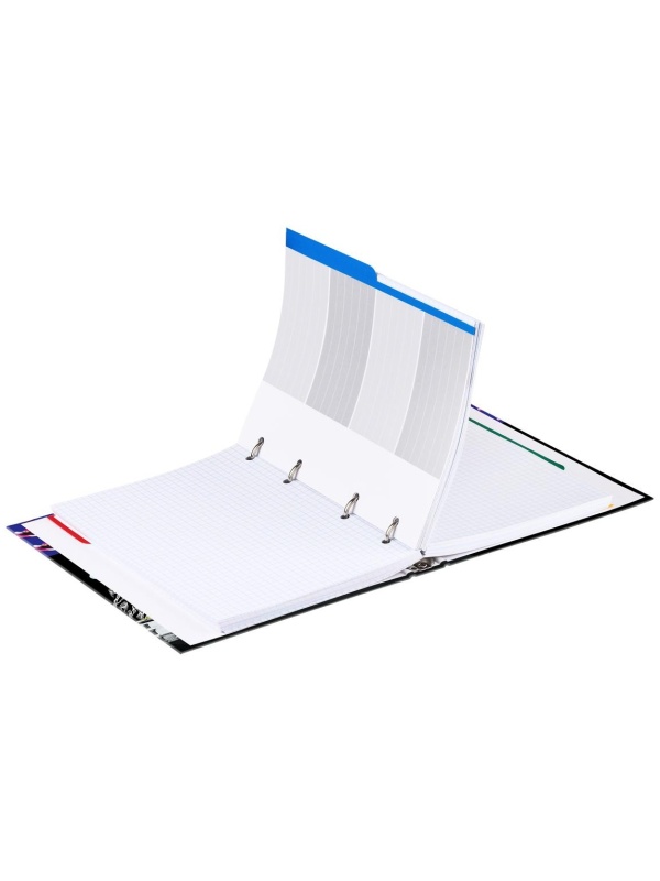 Тетрадь на кольцах А5, 240л., BG 