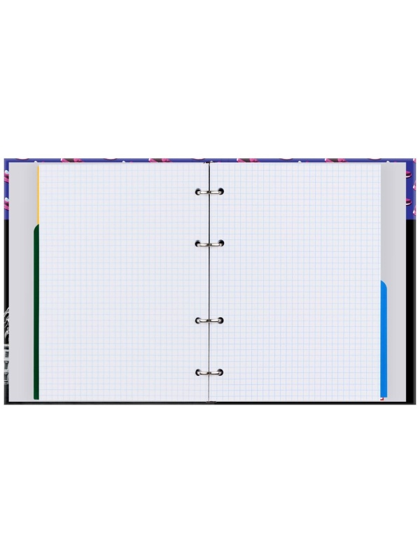 Тетрадь на кольцах А5, 240л., BG 