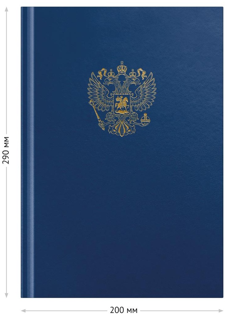 Книга учета OfficeSpace, А4, 96л., клетка, 200*290мм, бумвинил, цвет синий, блок офсетный с гербом