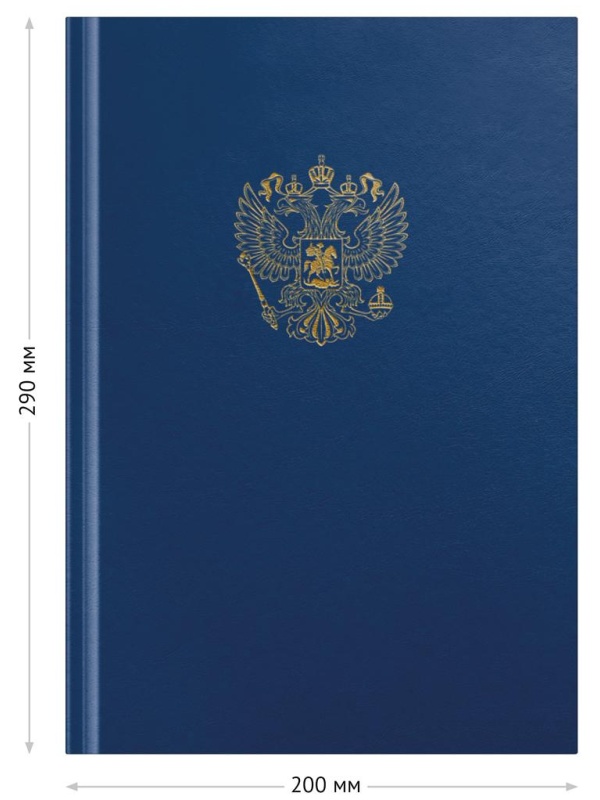 Книга учета OfficeSpace, А4, 96л., клетка, 200*290мм, бумвинил, цвет синий, блок офсетный с гербом