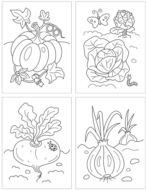 Раскраска в папке А5, 48 л. Мульти-Пульти 