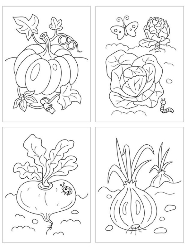 Раскраска в папке А5, 48 л. Мульти-Пульти 