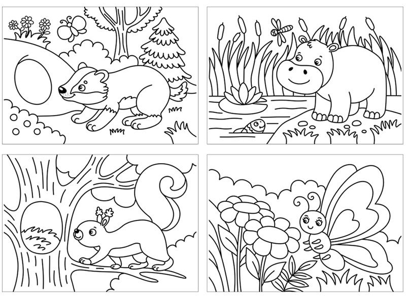 Раскраска в папке А5, 48 л. Мульти-Пульти 