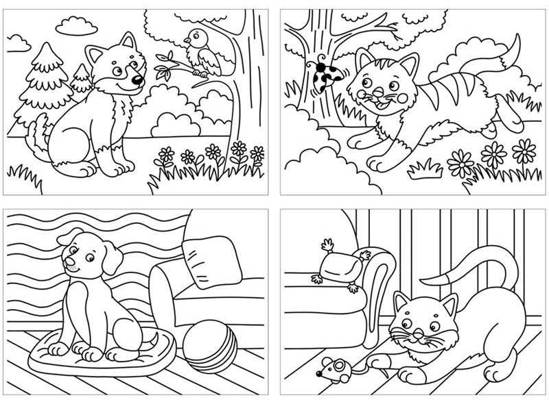 Раскраска в папке А4, 48 л., Мульти-Пульти 