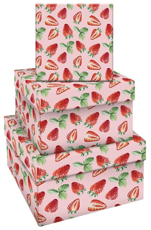 Набор квадратных коробок 3в1, MESHU 