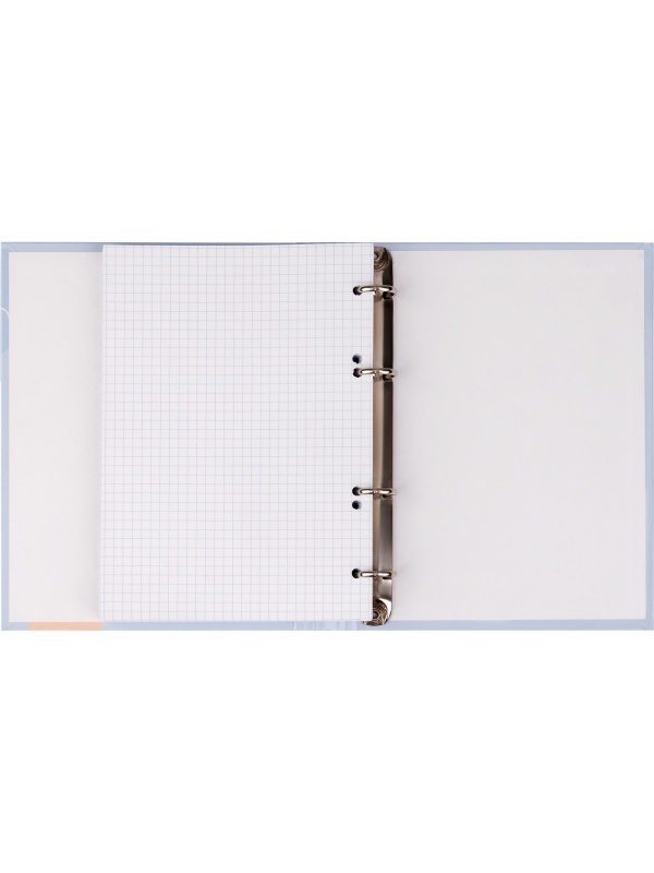 Тетрадь на кольцах А5, 120л., 7БЦ, ArtSpace 