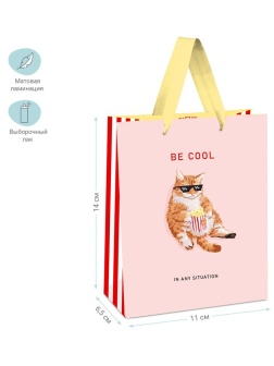 Пакет подарочный 11*14*6,5см MESHU 