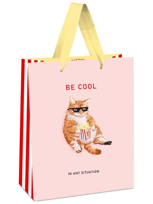 Пакет подарочный 11*14*6,5см MESHU 