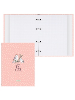 Тетрадь на кольцах А5, 120л., BG 