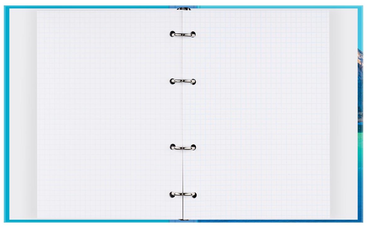 Тетрадь на кольцах А5, 120л., BG 