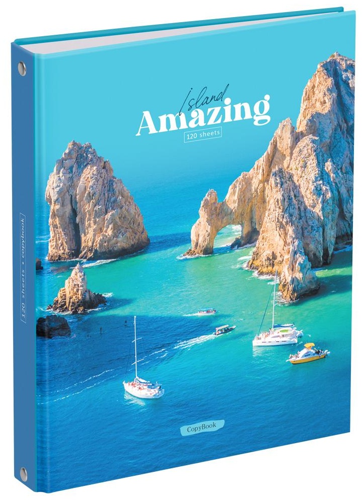 Тетрадь на кольцах А5, 120л., BG 