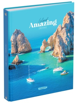 Тетрадь на кольцах А5, 120л., BG 