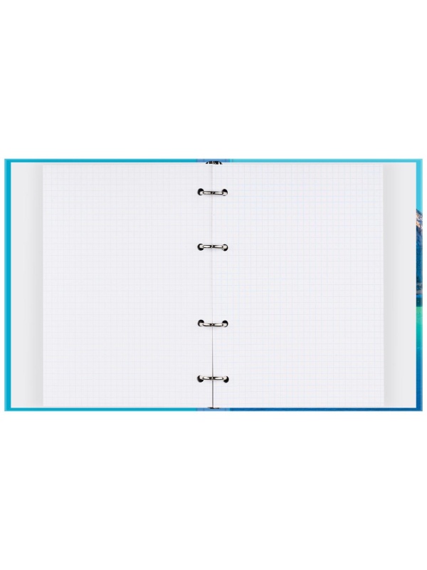 Тетрадь на кольцах А5, 120л., BG 