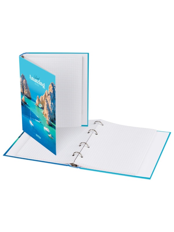 Тетрадь на кольцах А5, 120л., BG 