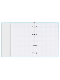 Тетрадь на кольцах А5, 160л., BG 