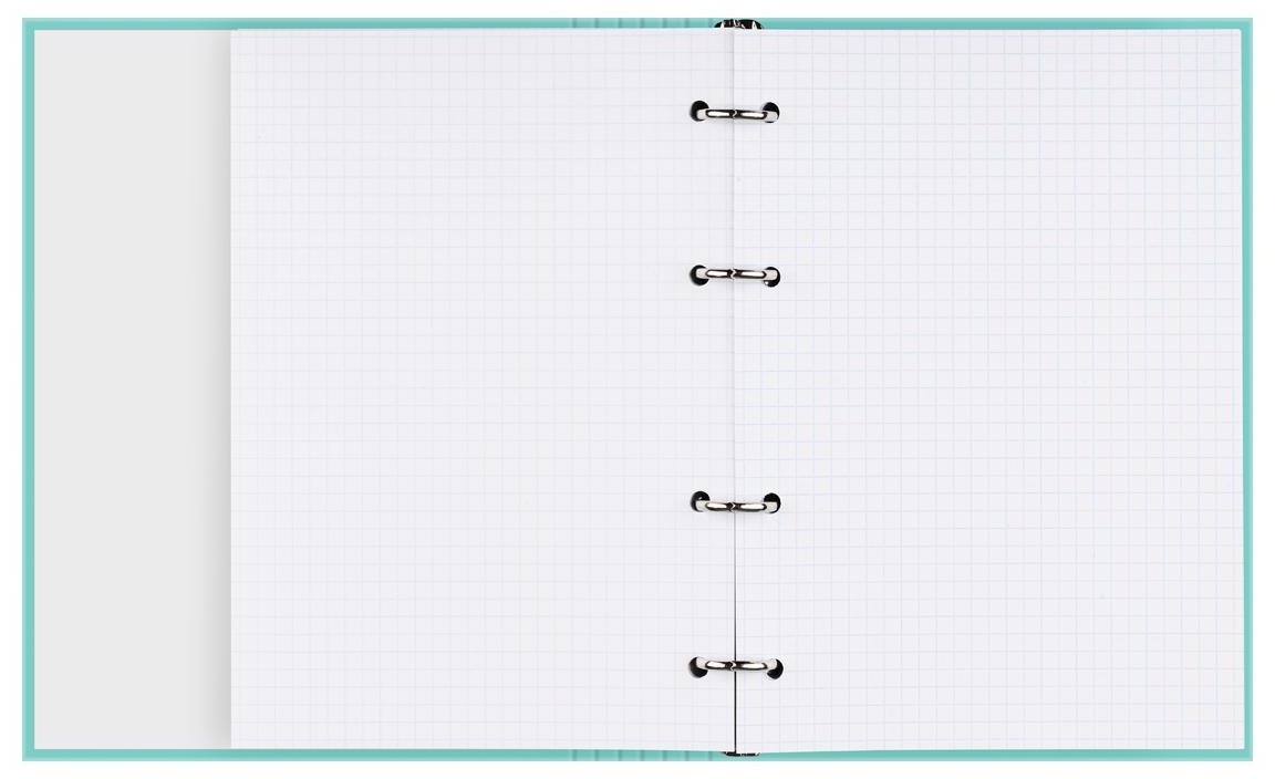 Тетрадь на кольцах А5, 160л., BG 