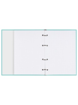 Тетрадь на кольцах А5, 160л., BG 