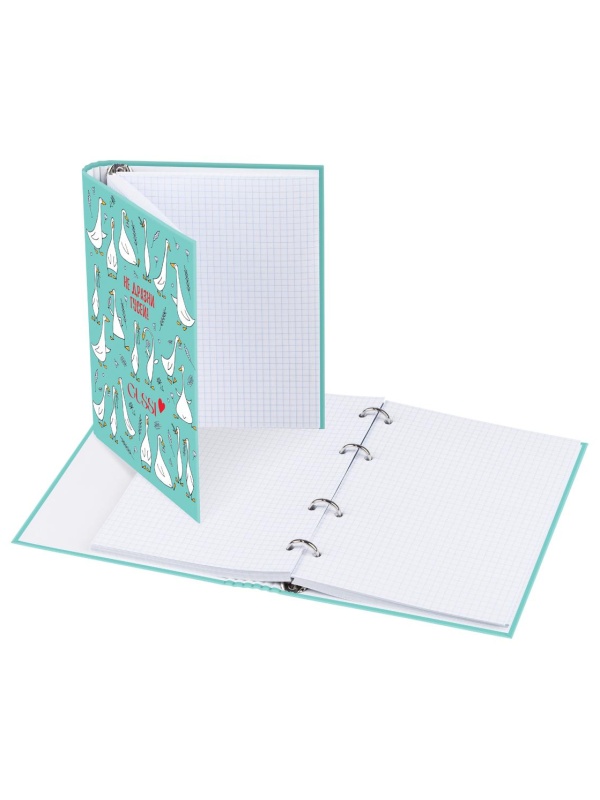 Тетрадь на кольцах А5, 160л., BG 