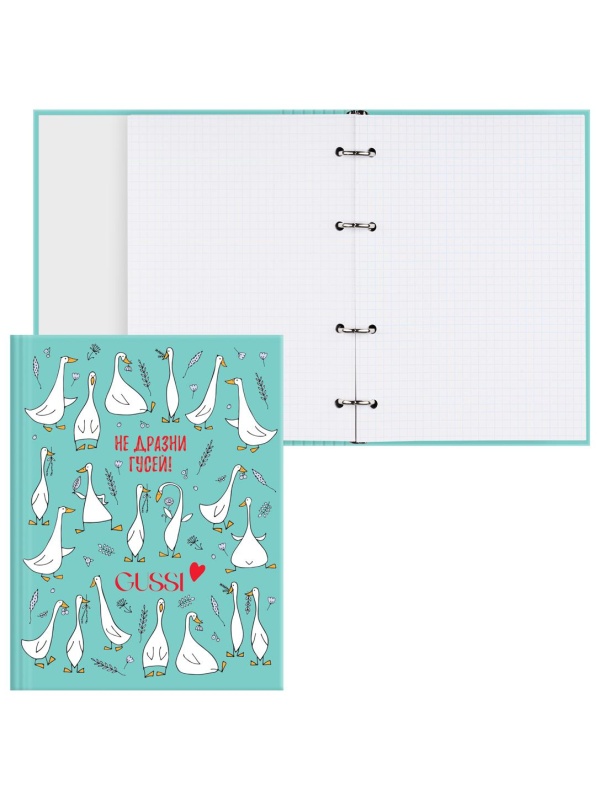 Тетрадь на кольцах А5, 160л., BG 