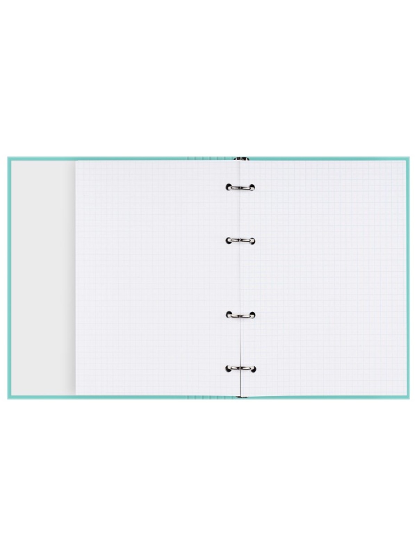 Тетрадь на кольцах А5, 160л., BG 