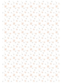 Папка адресная Свидетельство о рождении OfficeSpace 